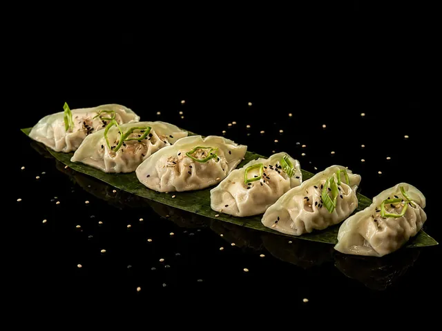Gyoza Chicken & Vegetable